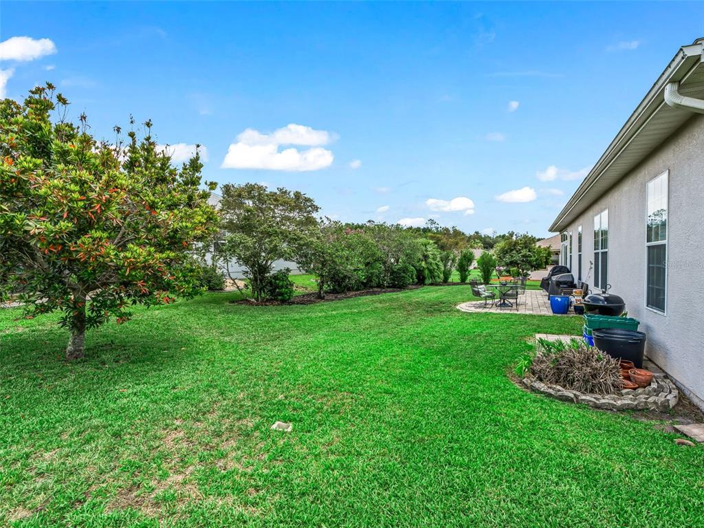 12421 Southeast 174th Loop Summerfield, FL 34491 - Photo 52 of 66