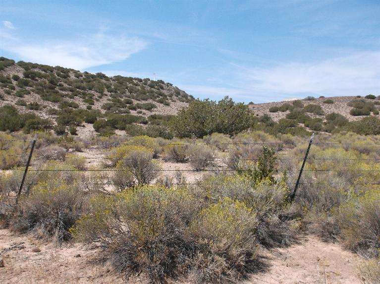 0 Douglas Street Tehachapi, CA 93561 - Photo 11 of 16 Gallery Image 11