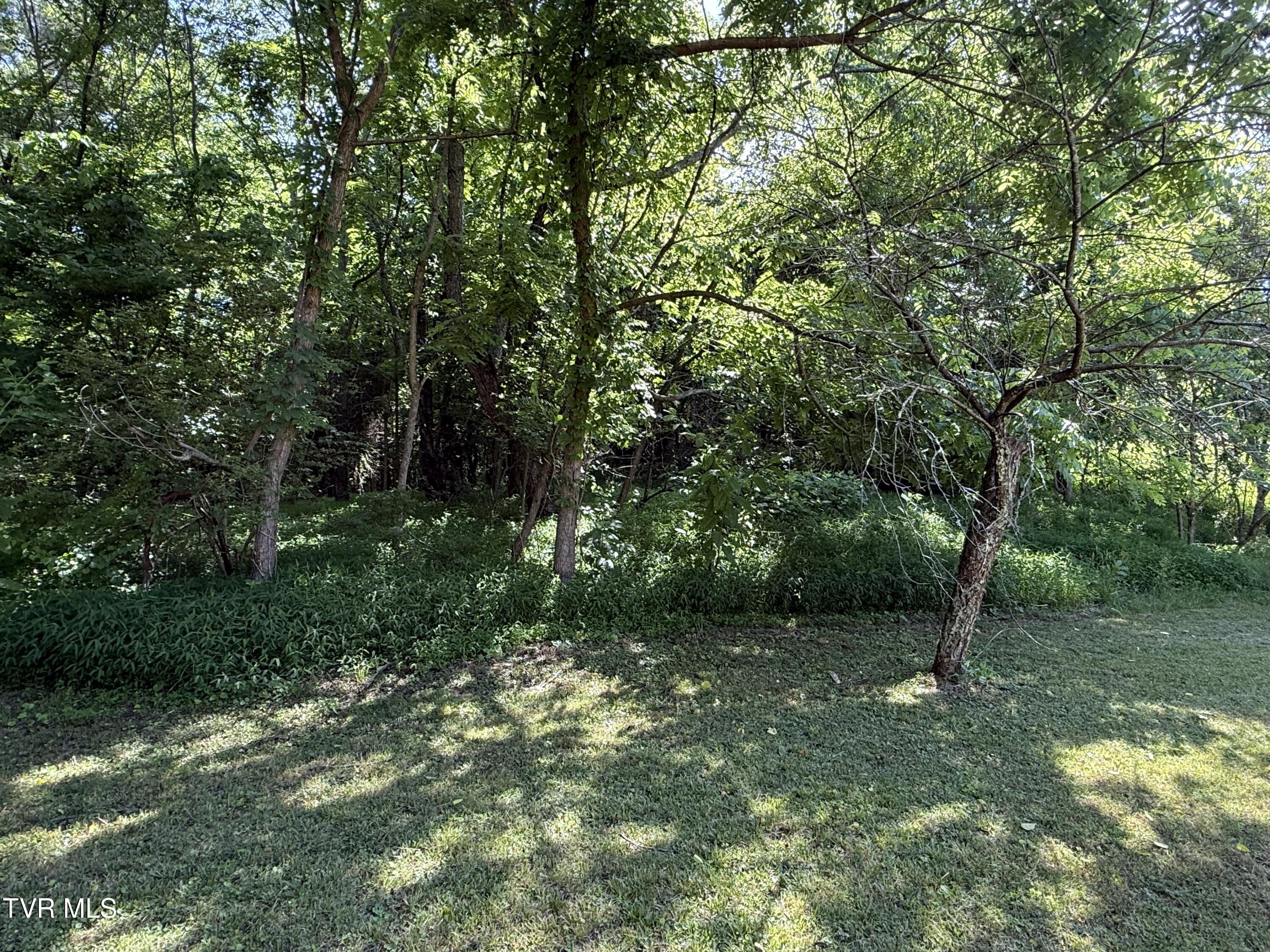 401 Spring Street Jonesborough, TN 37659 - Photo 26 of 31 IMG_0189
