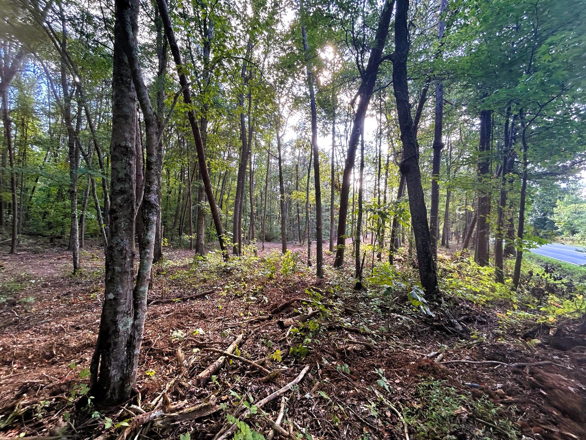 4 Pleasant Hill Road Ten Mile, TN 37880 - Photo 12 of 13 IMG_3871