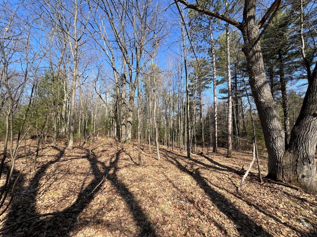 On Forest Loop Drive Rhinelander, WI 54501 - Photo 1 of 12 Gallery Image 1