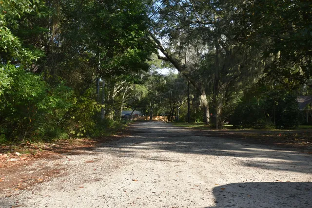 a view of dirt yard with a trees