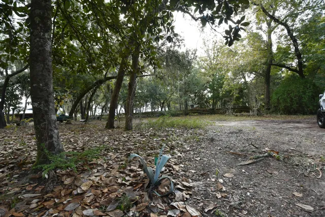 a view of outdoor space with lots of trees