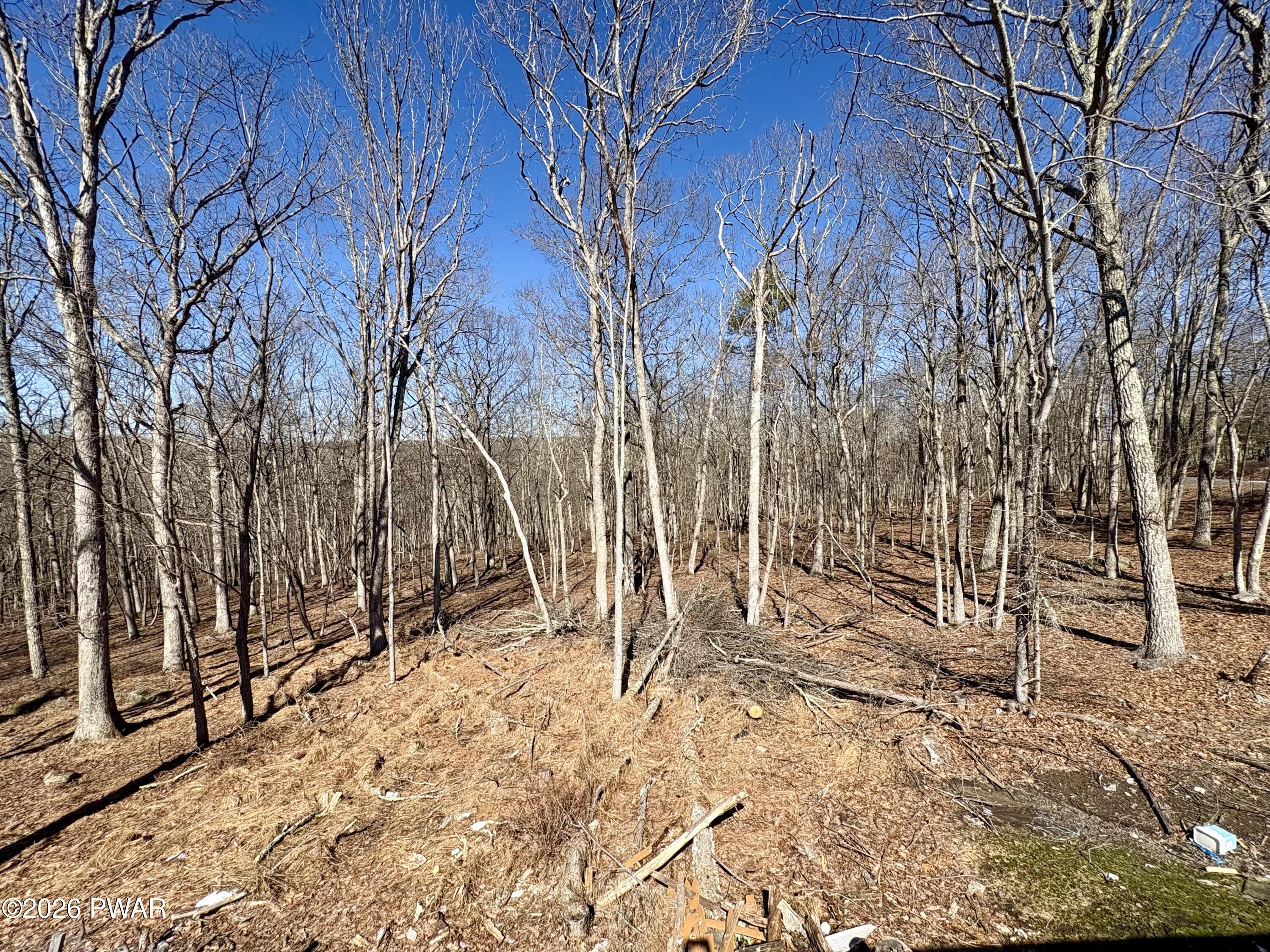 2193 Spring Drive Bushkill, PA 18324 - Photo 3 of 46
