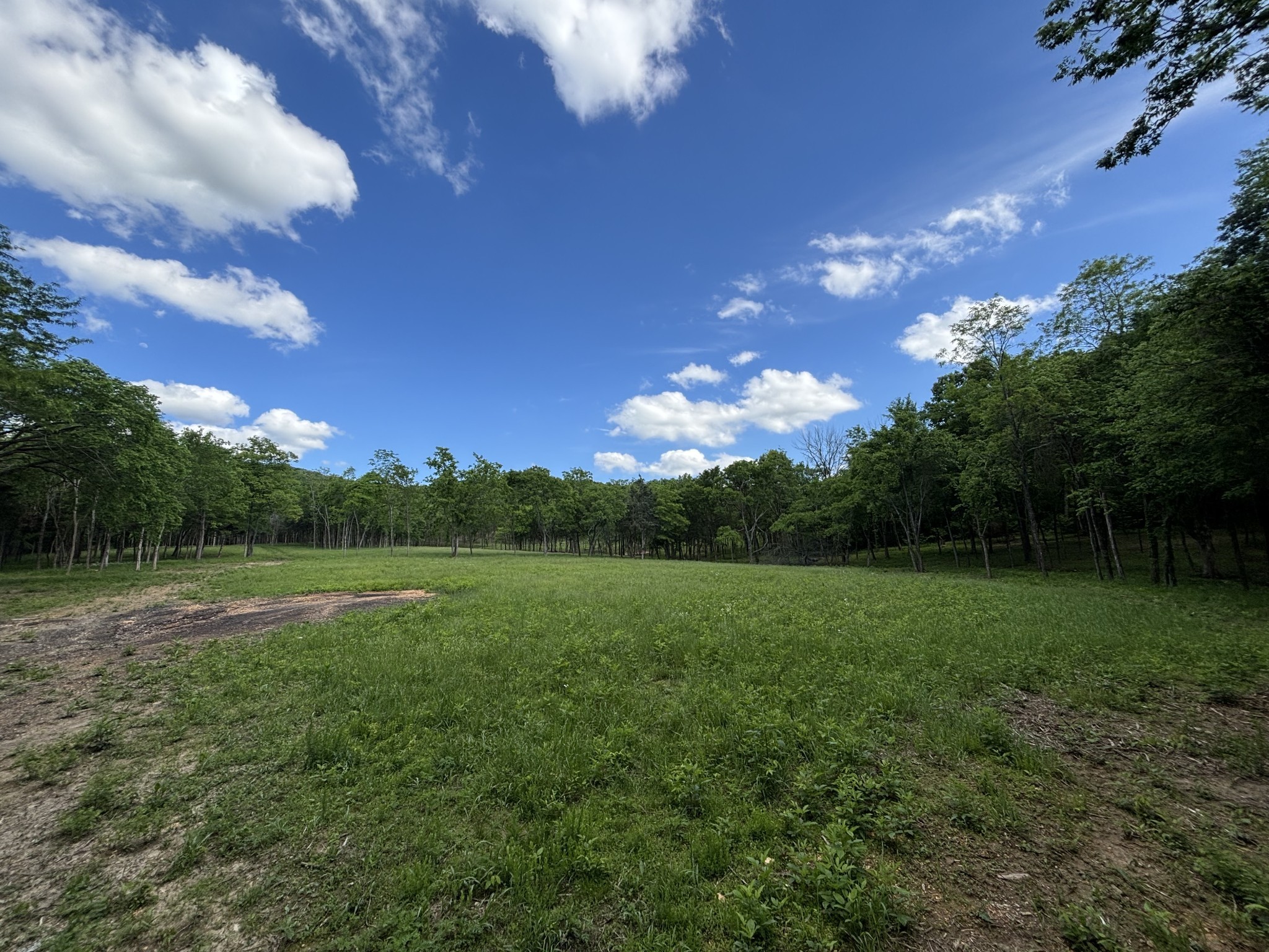 9205 Bowles Road Rockvale, TN 37153 - Photo 19 of 54 Gallery Image 19