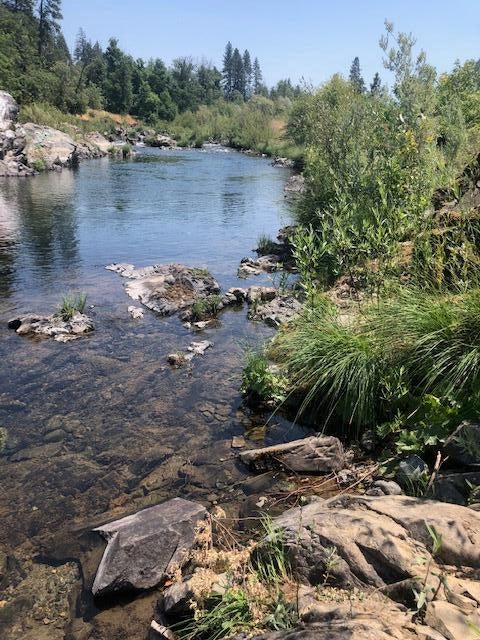 1313 Rockydale Road Cave Junction, OR 97523 - Photo 2 of 12 IMG_0480