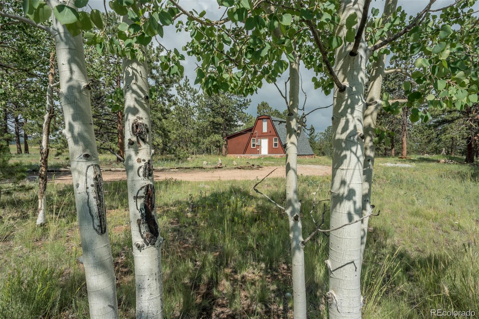 3082 Wagon Wheel Road Hartsel, CO 80449 - Photo 3 of 40 Gallery Image 3