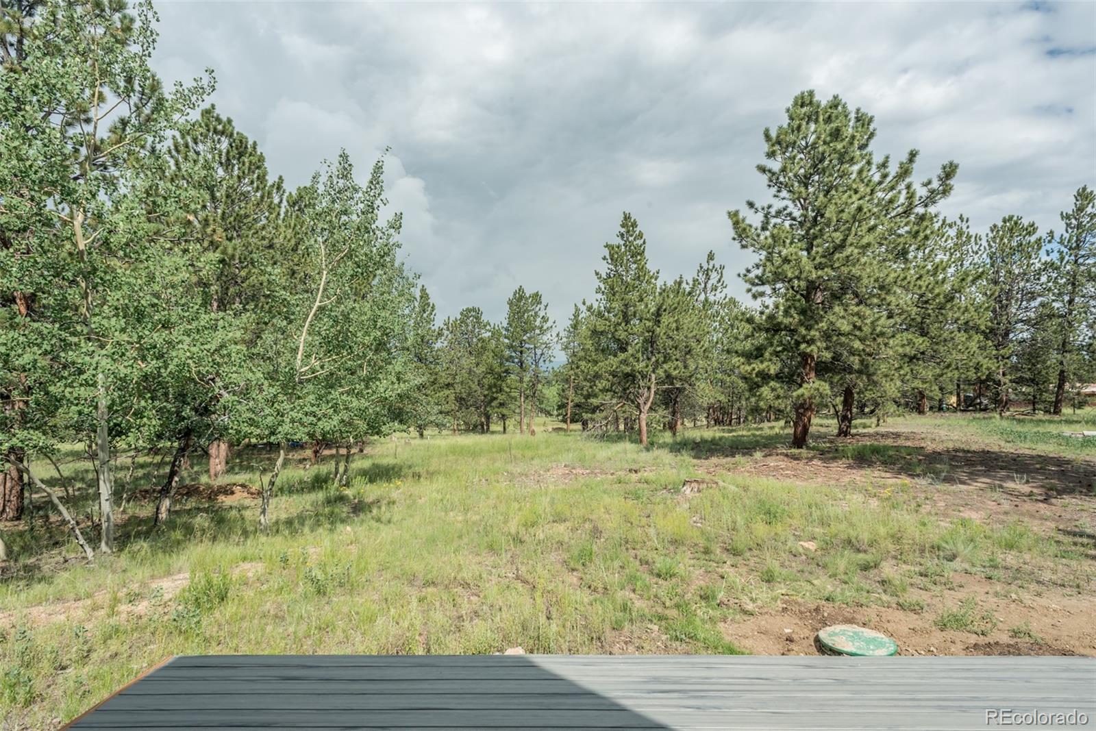 3082 Wagon Wheel Road Hartsel, CO 80449 - Photo 33 of 40 Gallery Image 33