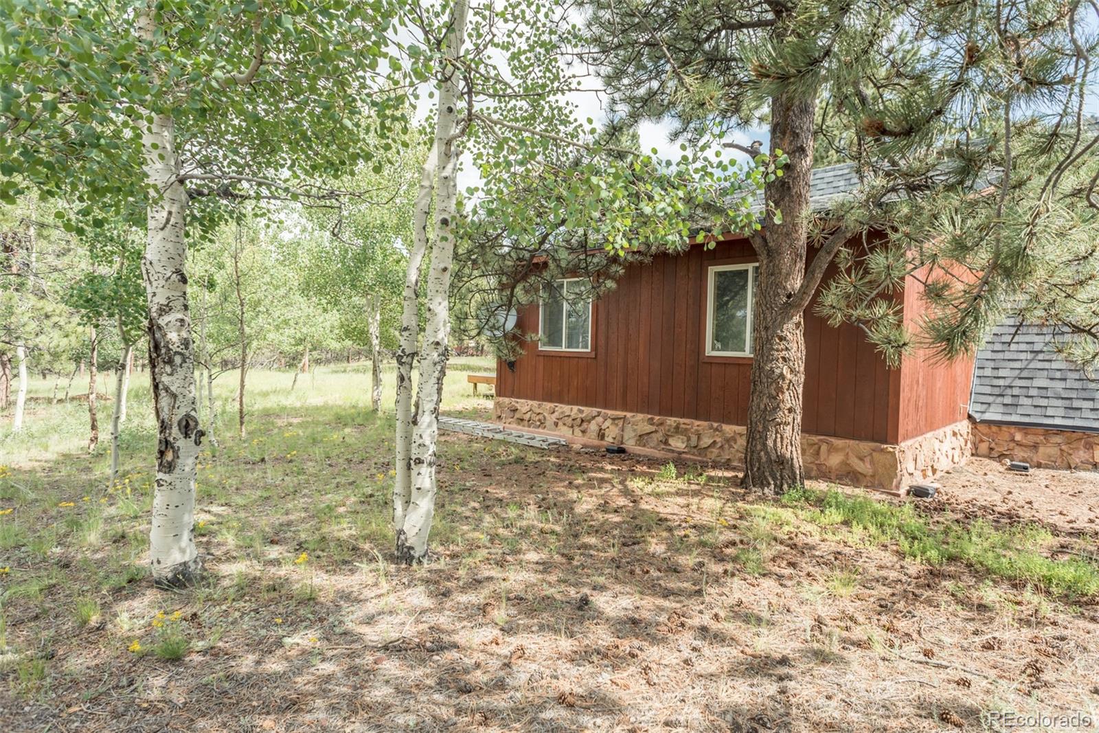 3082 Wagon Wheel Road Hartsel, CO 80449 - Photo 10 of 40 Gallery Image 10