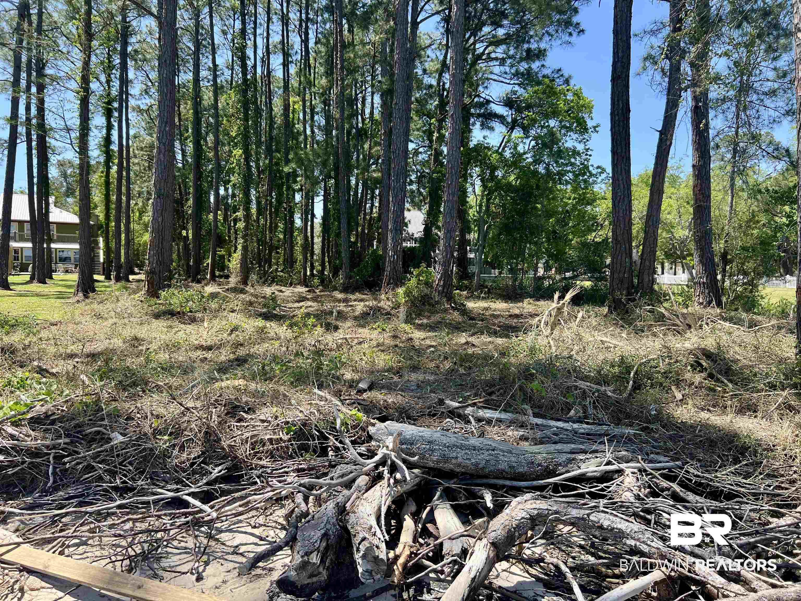 12171 Strong Road Gulf Shores, AL 36542 - Photo 25 of 27 View of local wilderness