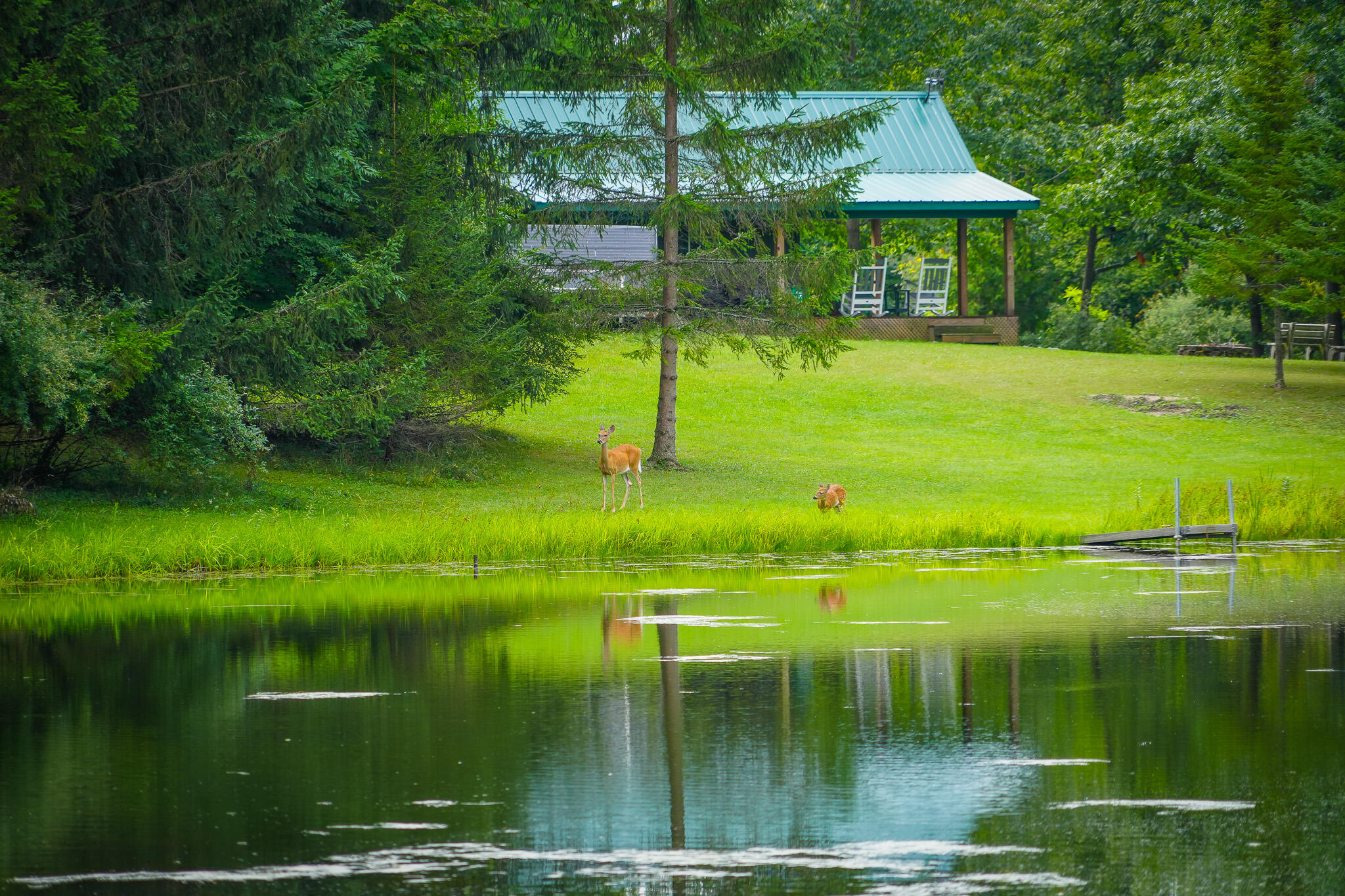 5260 North Hockaday Road Gladwin, MI 48624 - Photo 58 of 81 DSC01488