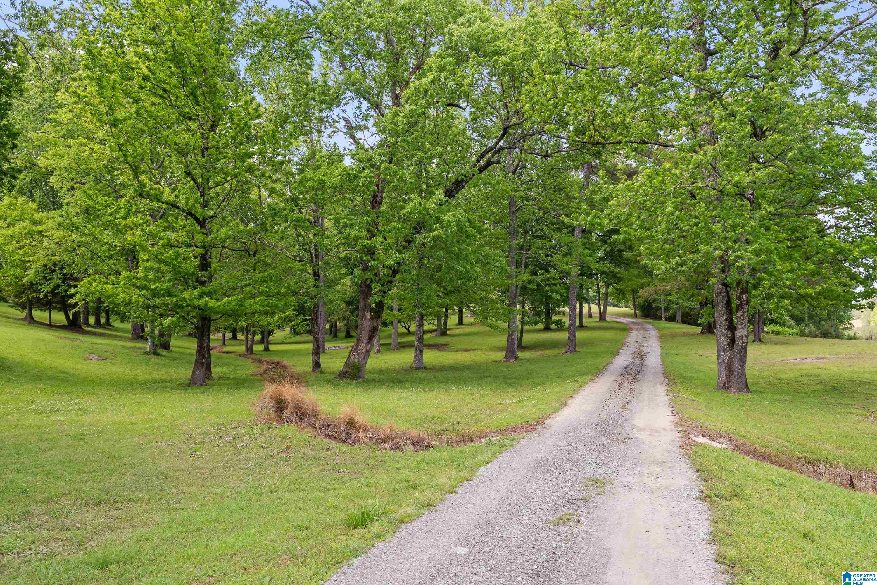 3671 White Road Dora, AL 35062 - Photo 63 of 67