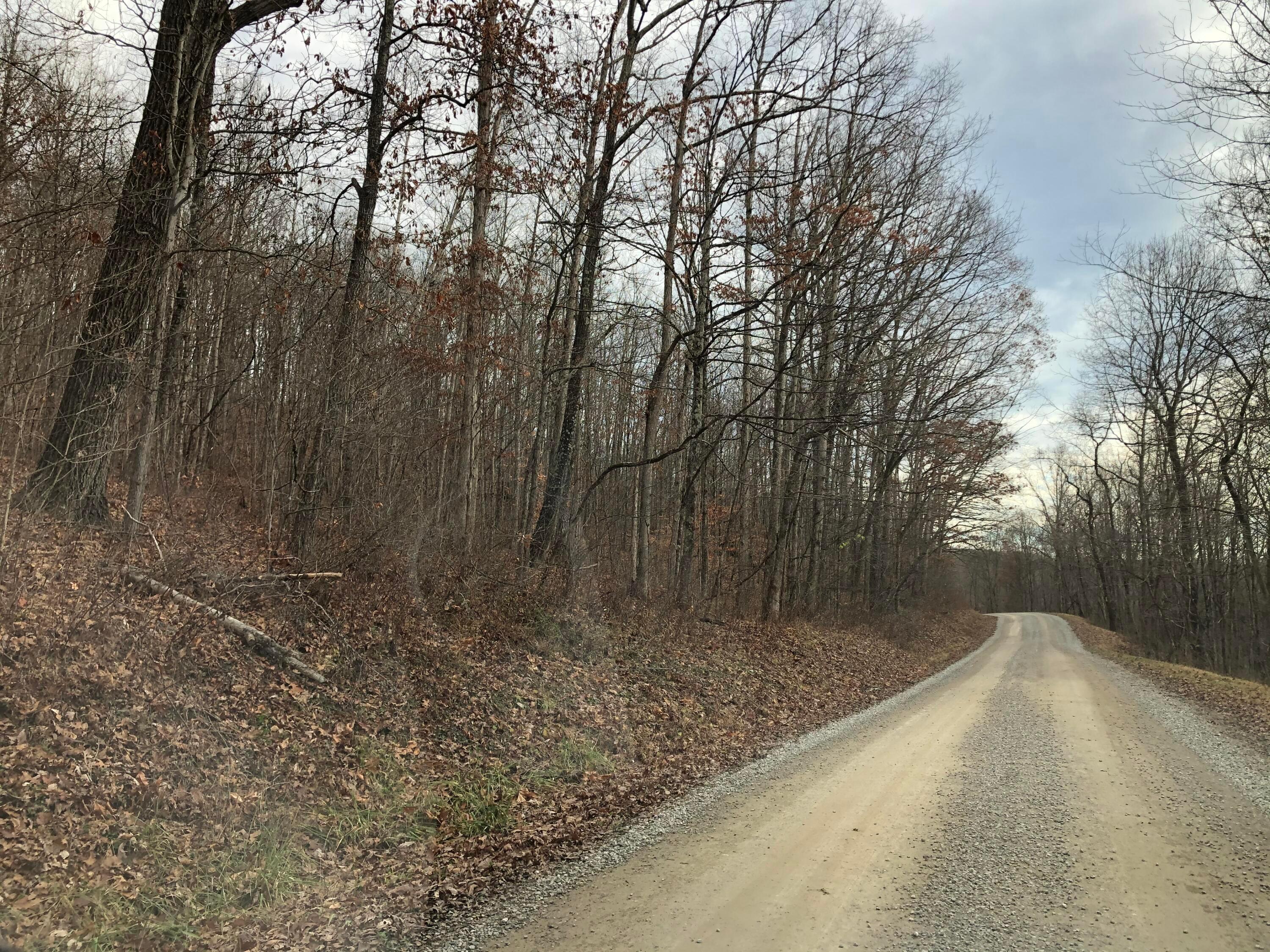 0 Carr Bailey Road Millfield, OH 45761 - Photo 8 of 11 7