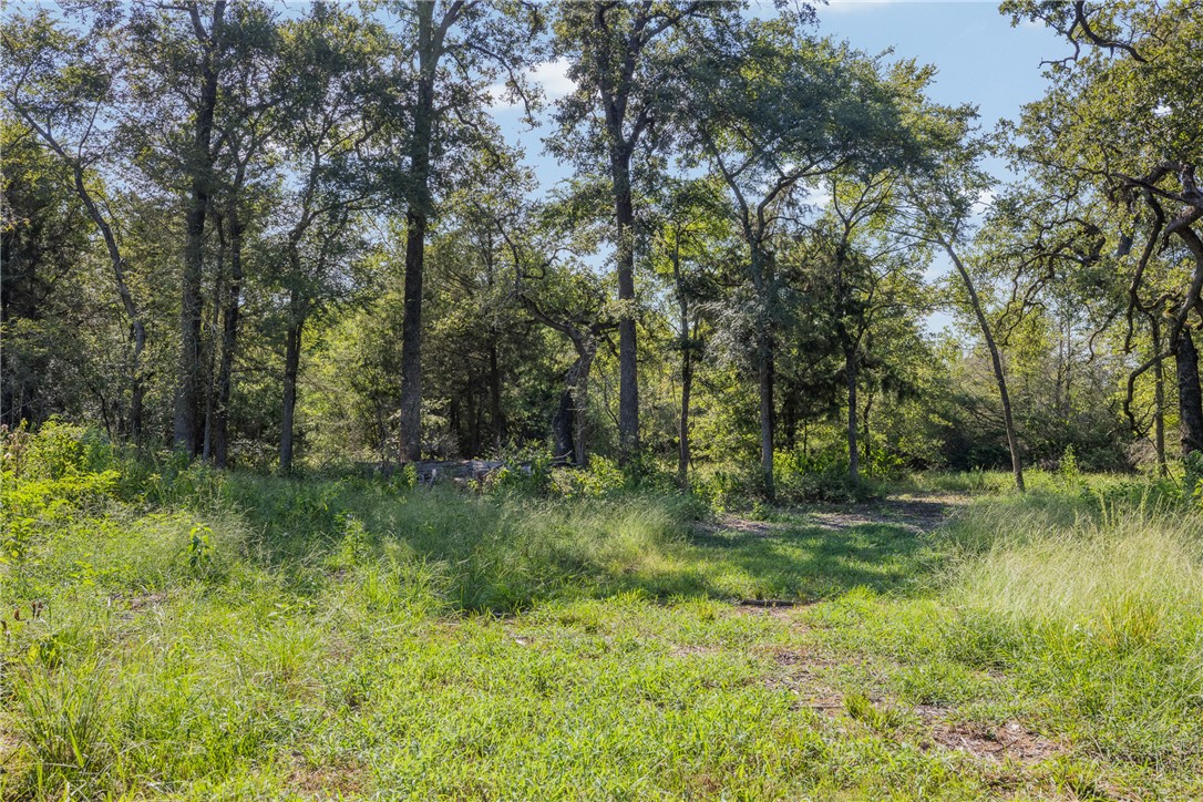 16135 Wilson Pasture Road Bryan, TX 77808 - Photo 18 of 29