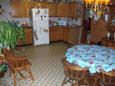 11009 East Potter Road Davison, MI 48423 - Photo 2 of 12 20177533-1.JPG
