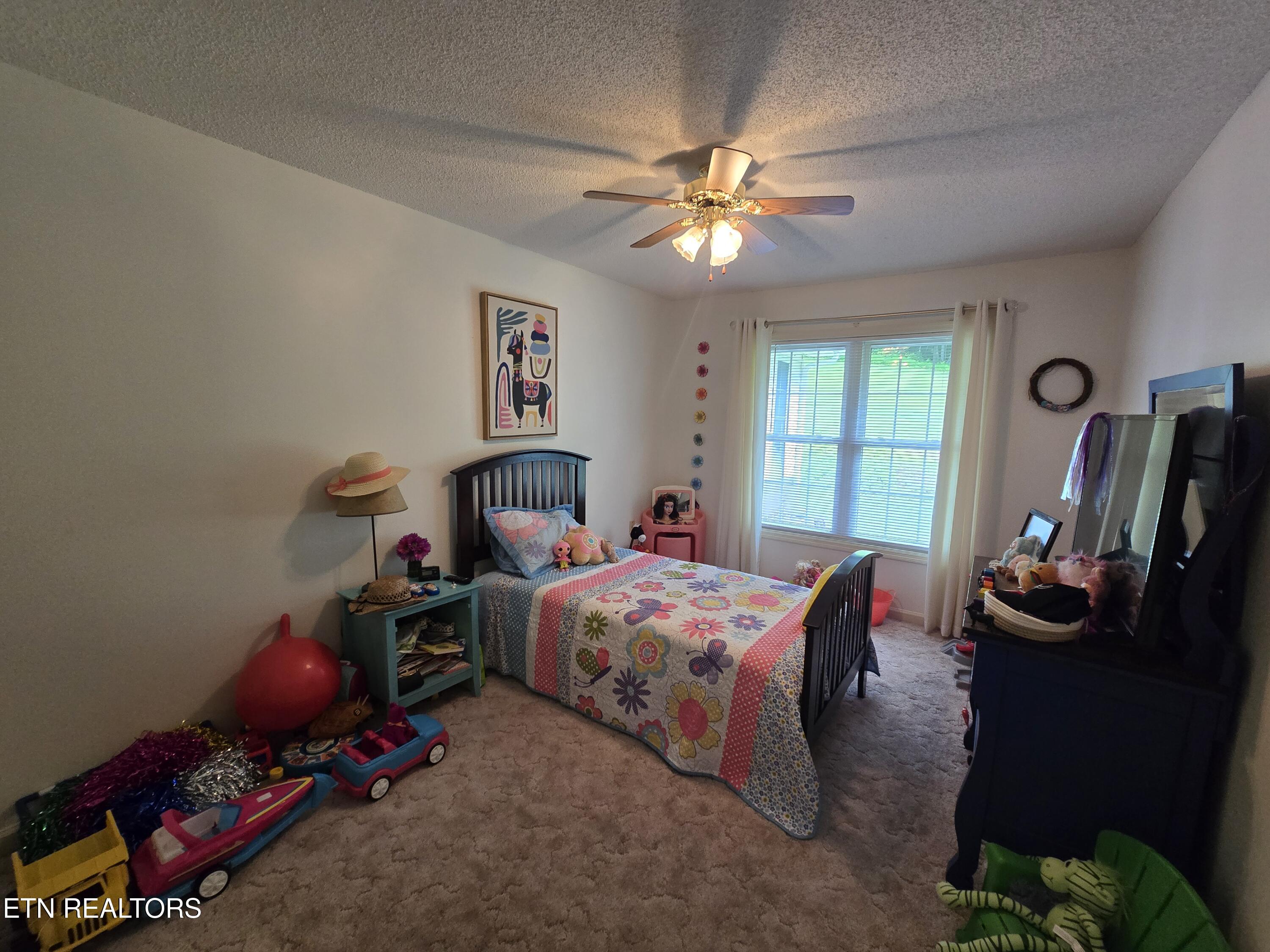 960 Boone Path Road Rose Hill, VA 24281 - Photo 19 of 40 20260710_123823