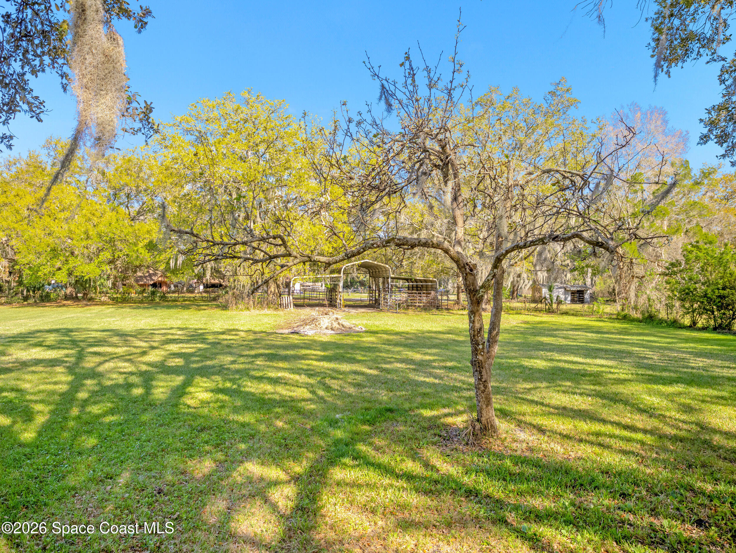 3535 Montgomery Road Mims, FL 32754 - Photo 34 of 57 Horse Fields/ Pear Tree