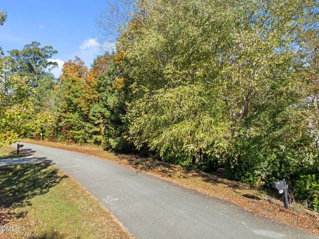 a view of a garden with plants and large trees
