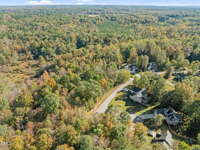 a view of a city with lush green forest