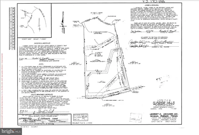 a view of a lush green forest