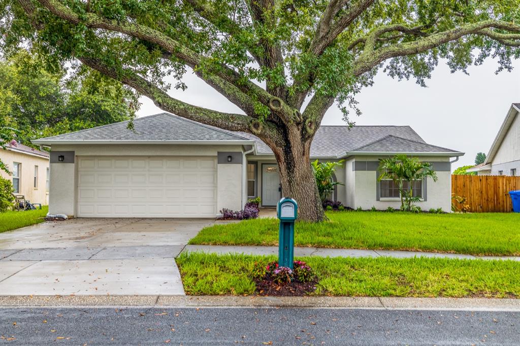 1719 Bell Ranch Street Brandon, FL 33511 - Photo 1 of 1 Gallery Image 1
