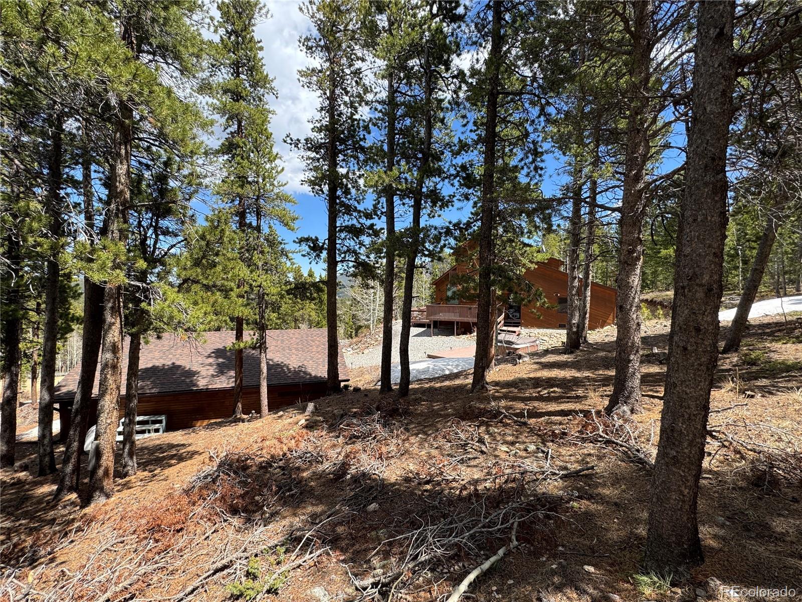 70 Highpoint Circle Black Hawk, CO 80422 - Photo 3 of 37 a view of a yard with plants and trees