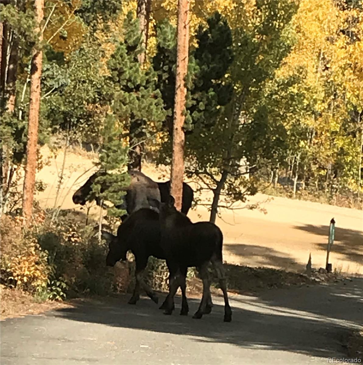 70 Highpoint Circle Black Hawk, CO 80422 - Photo 31 of 37