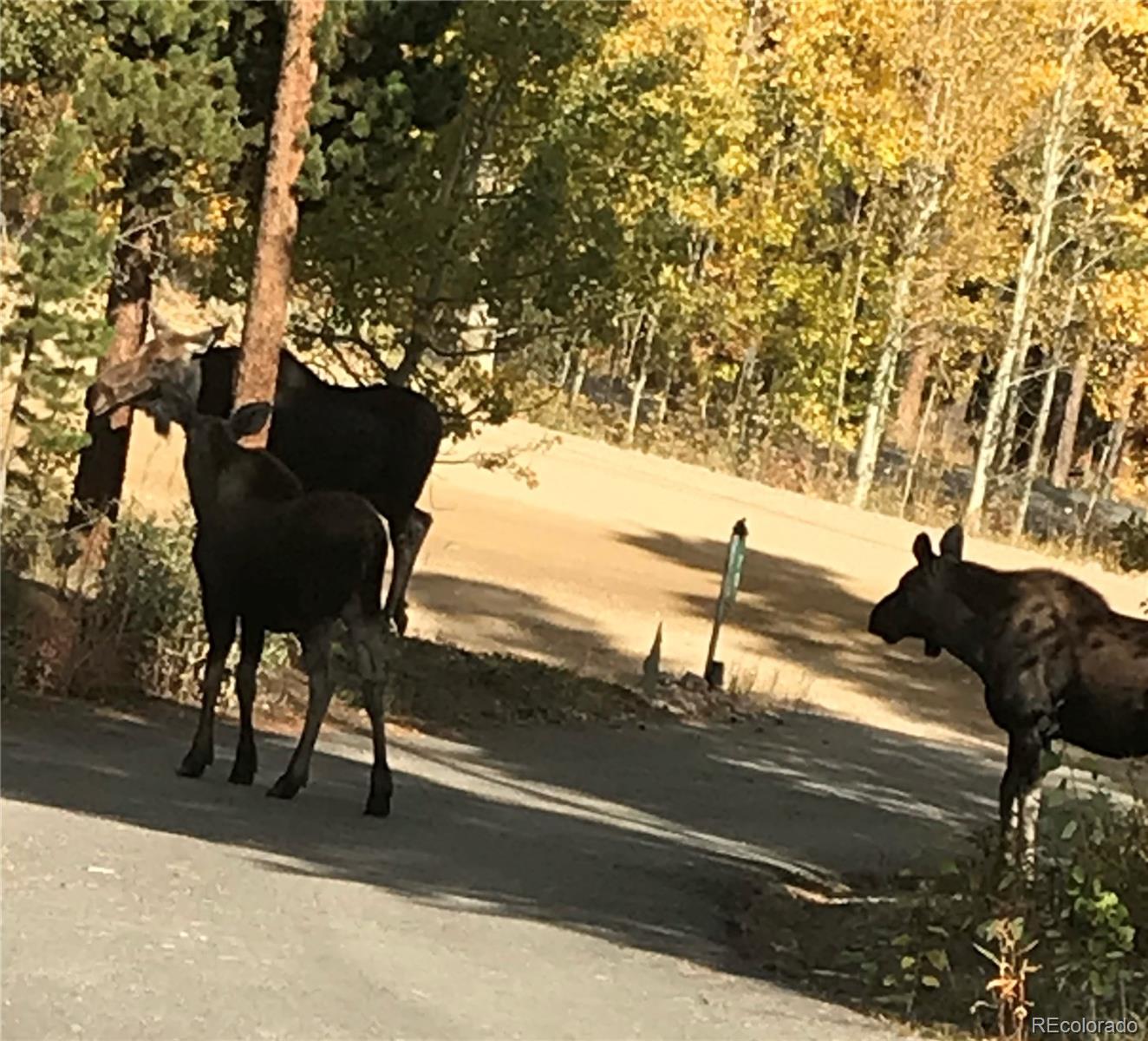 70 Highpoint Circle Black Hawk, CO 80422 - Photo 32 of 37 a view of a street