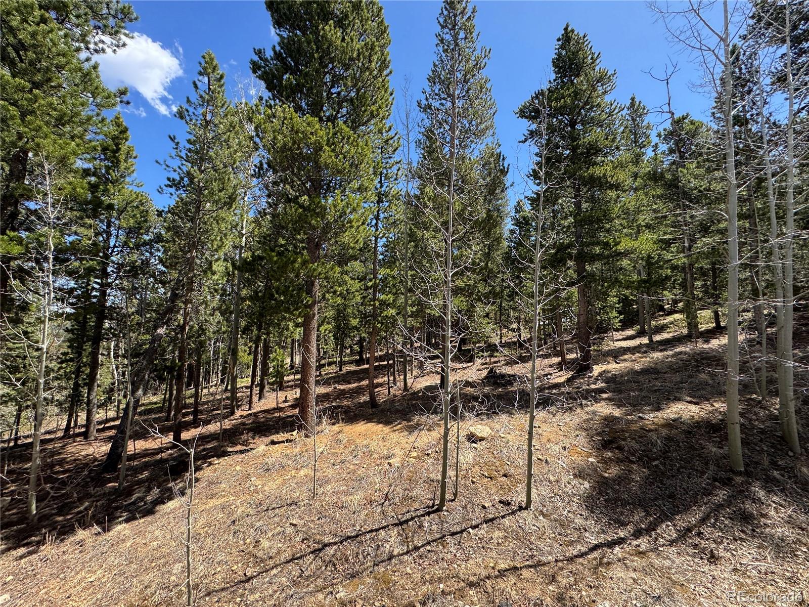 70 Highpoint Circle Black Hawk, CO 80422 - Photo 36 of 37 a view of outdoor space with seating area