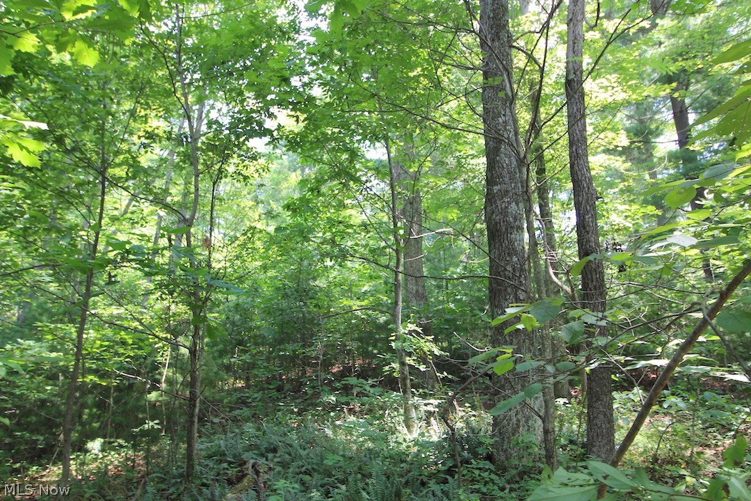 Mt Hope Ridge Rd Road Graysville, OH 45734 - Photo 11 of 35 Gallery Image 11