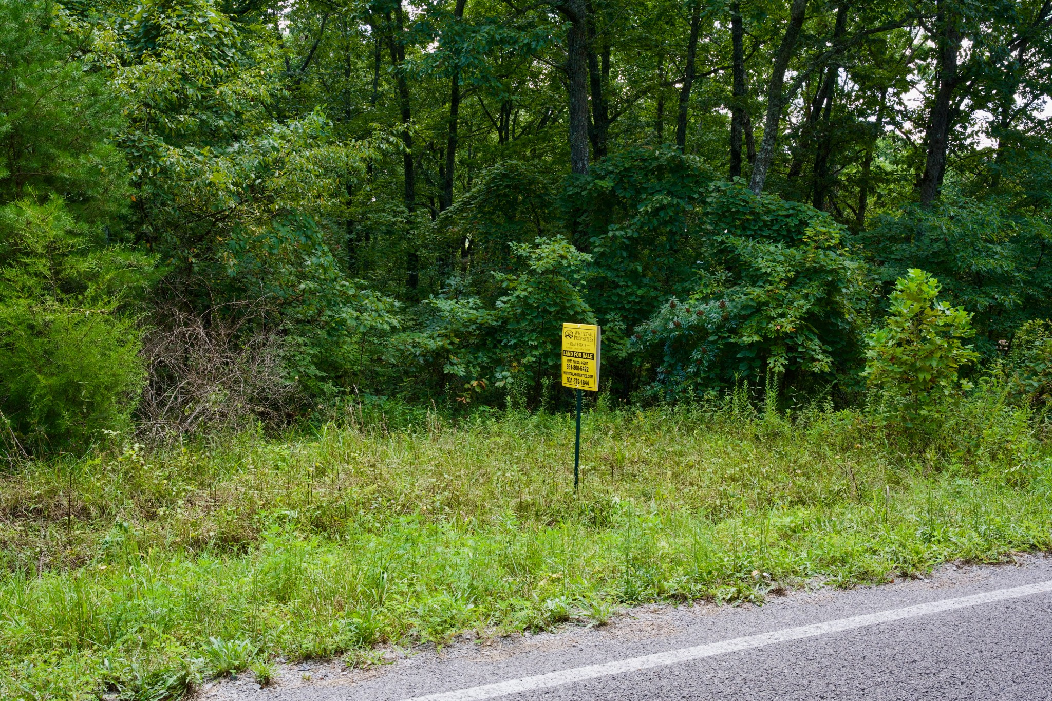 0 Simmons Road Pikeville, TN 37367 - Photo 13 of 24 Gallery Image 13