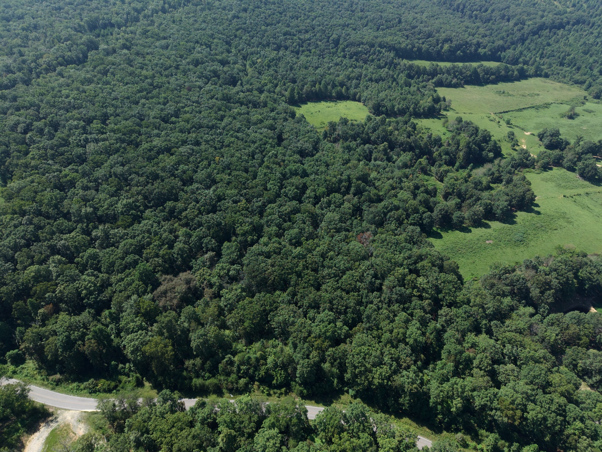 0 Simmons Road Pikeville, TN 37367 - Photo 14 of 24 Gallery Image 14