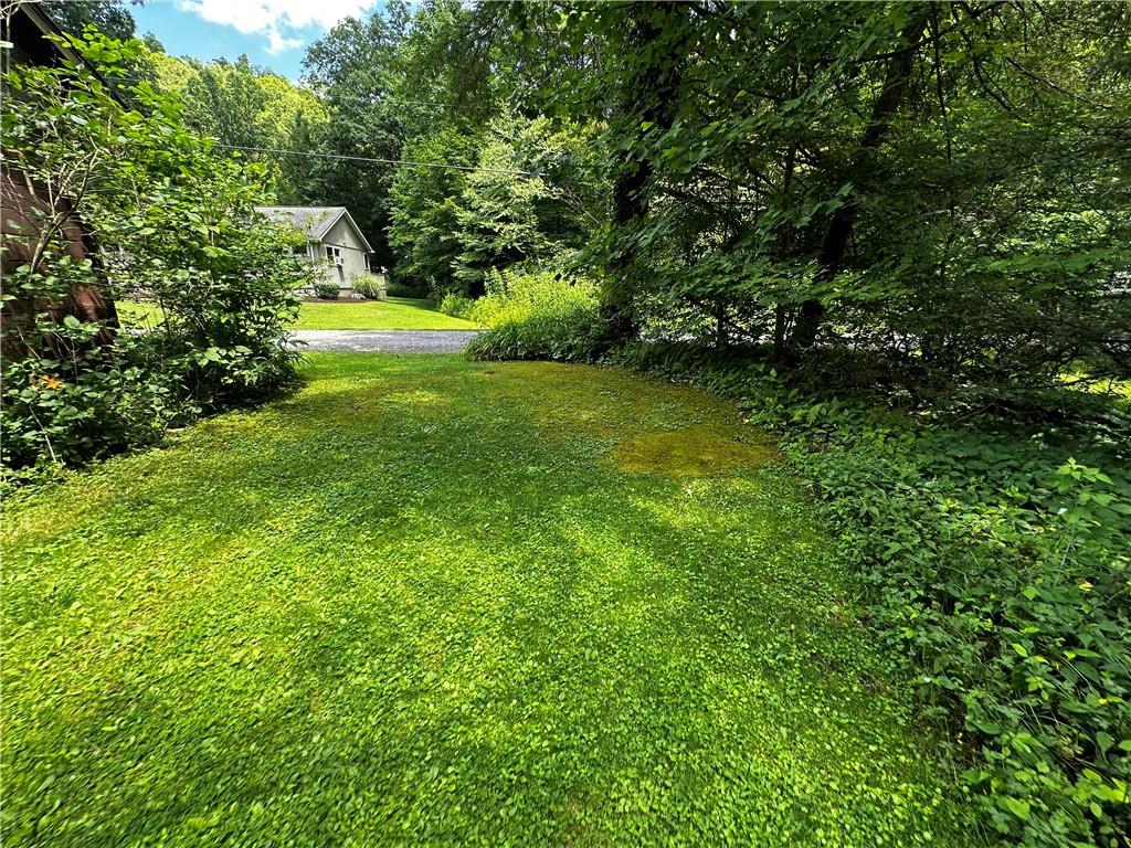 315 Dark Hollow Road Confluence, PA 15424 - Photo 22 of 25
