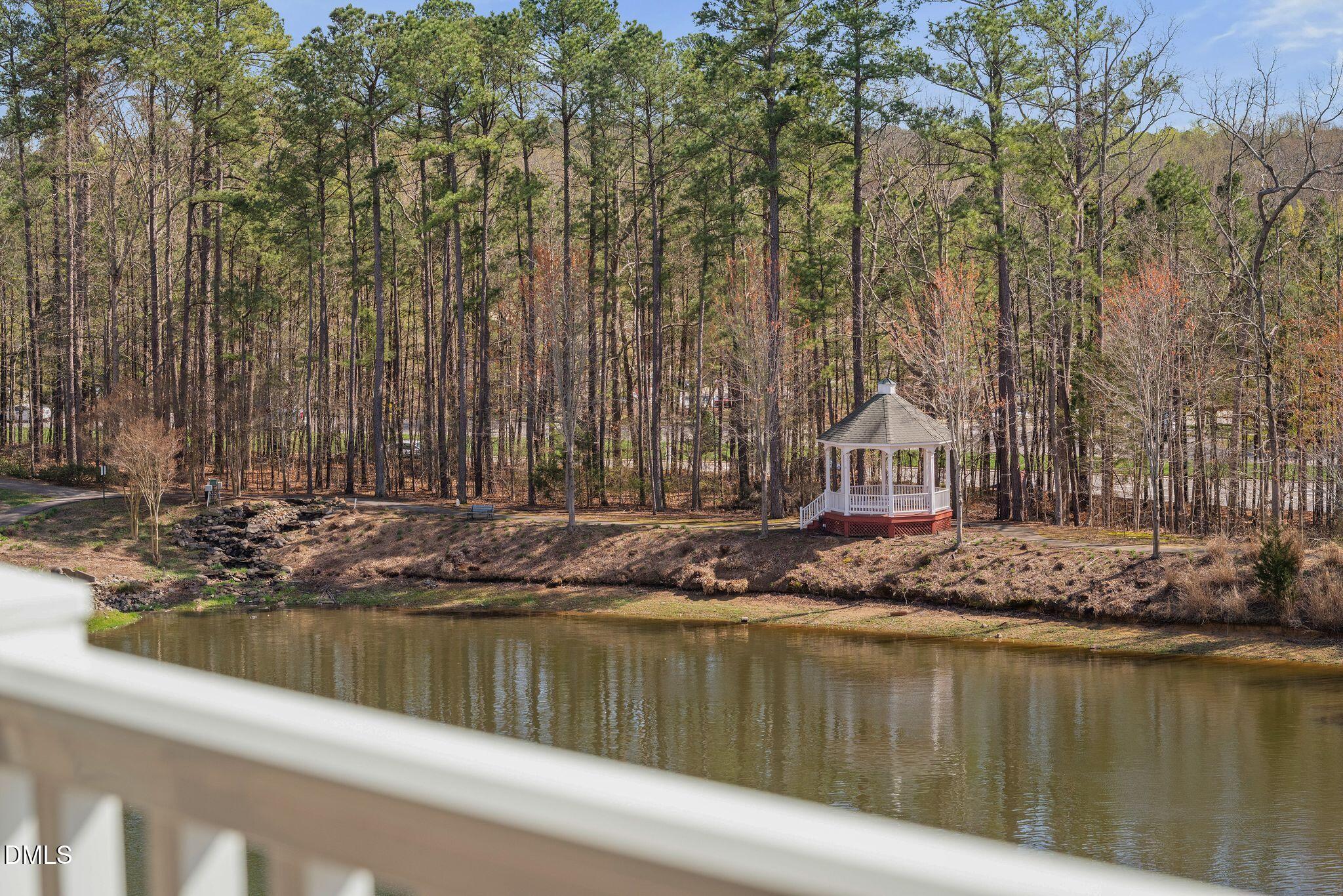 10511 Rosegate Court, Unit 305 Raleigh, NC 27617 - Photo 25 of 48 a view of swimming pool with a yard and trees in the background