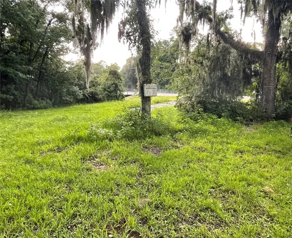 a view of a yard with a tree