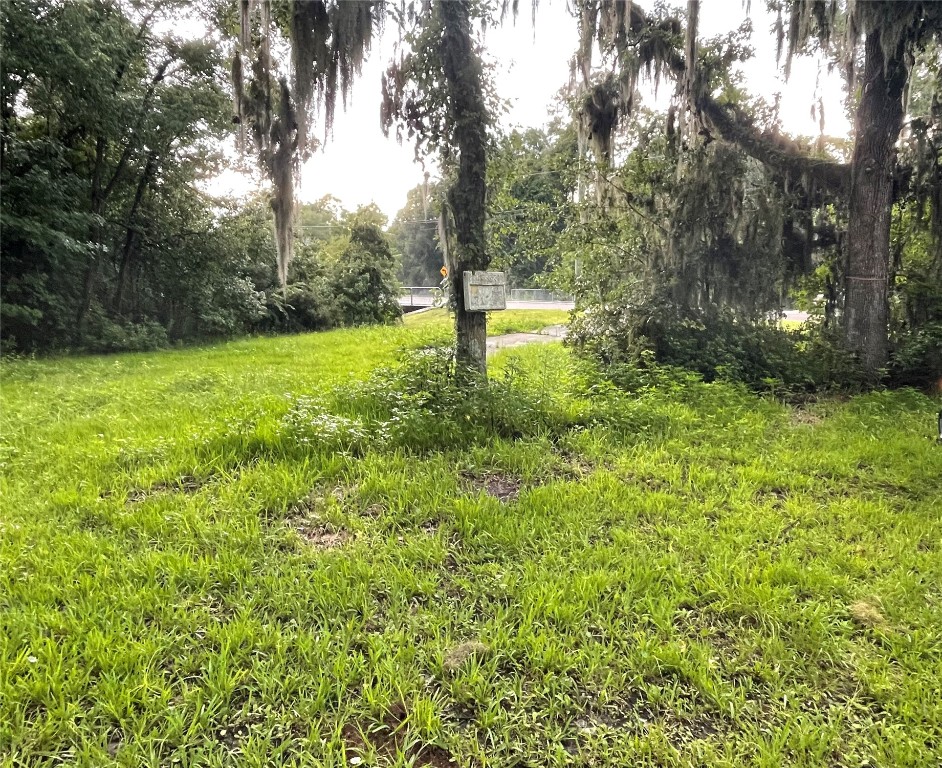 510 Starratt Road Jacksonville, FL 32218 - Photo 3 of 5 a view of a yard with a tree