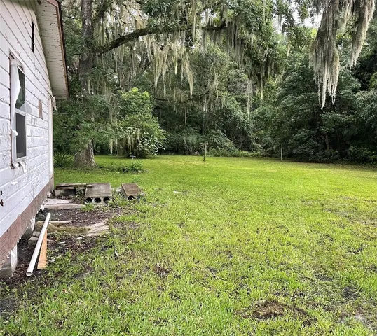 a view of a field with a tree