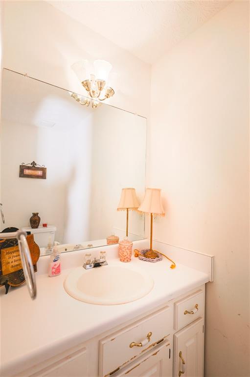 760 Breedlove Road Ball Ground, GA 30107 - Photo 11 of 18 a bathroom with a sink and a mirror