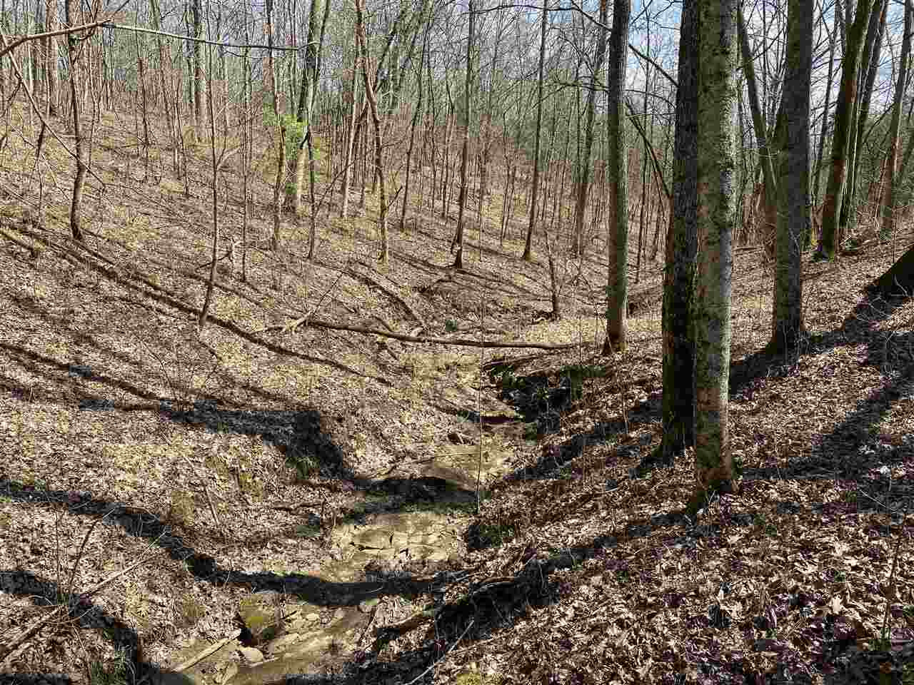 0 Mattox Road Brooksville, KY 41004 - Photo 15 of 22 Gallery Image 15