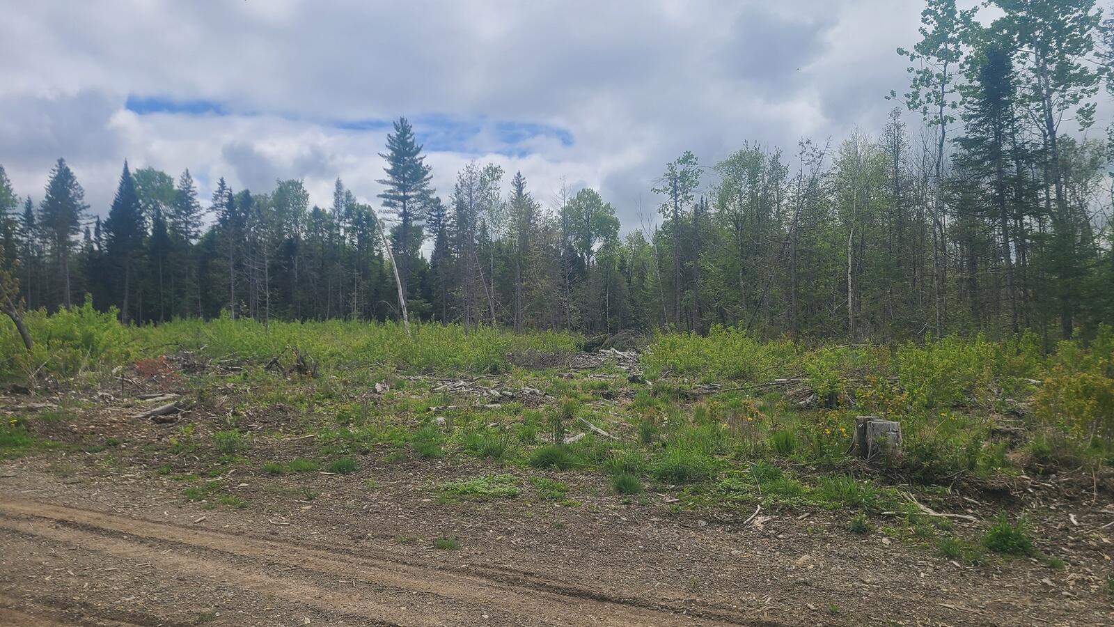 5-003-c Grendell Road Mapleton, ME 04757 - Photo 3 of 12 20260529_131050