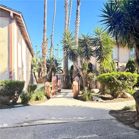 a view of a palm tree with glass door