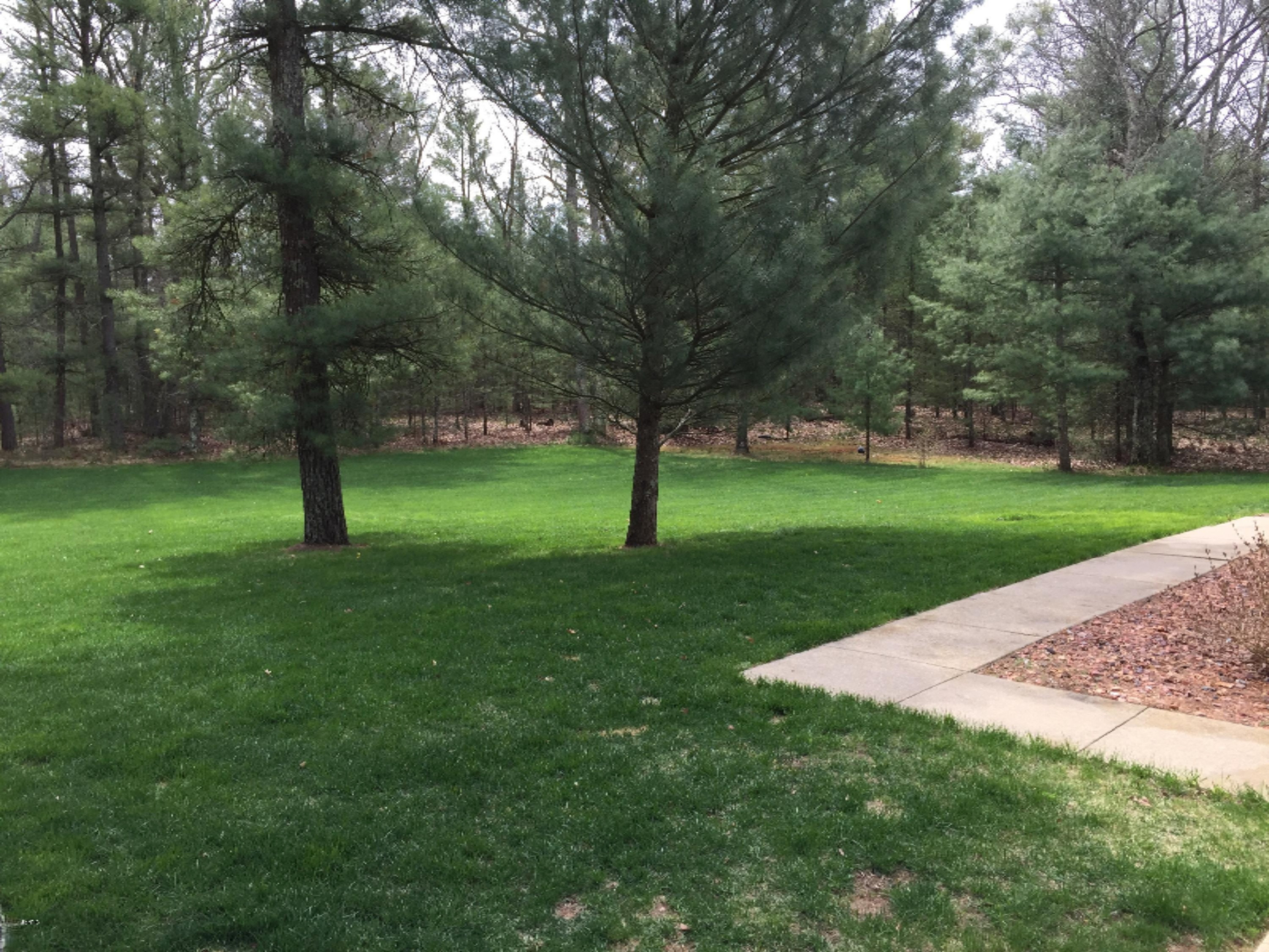2887 Brunswick Road Holton, MI 49425 - Photo 3 of 21 3