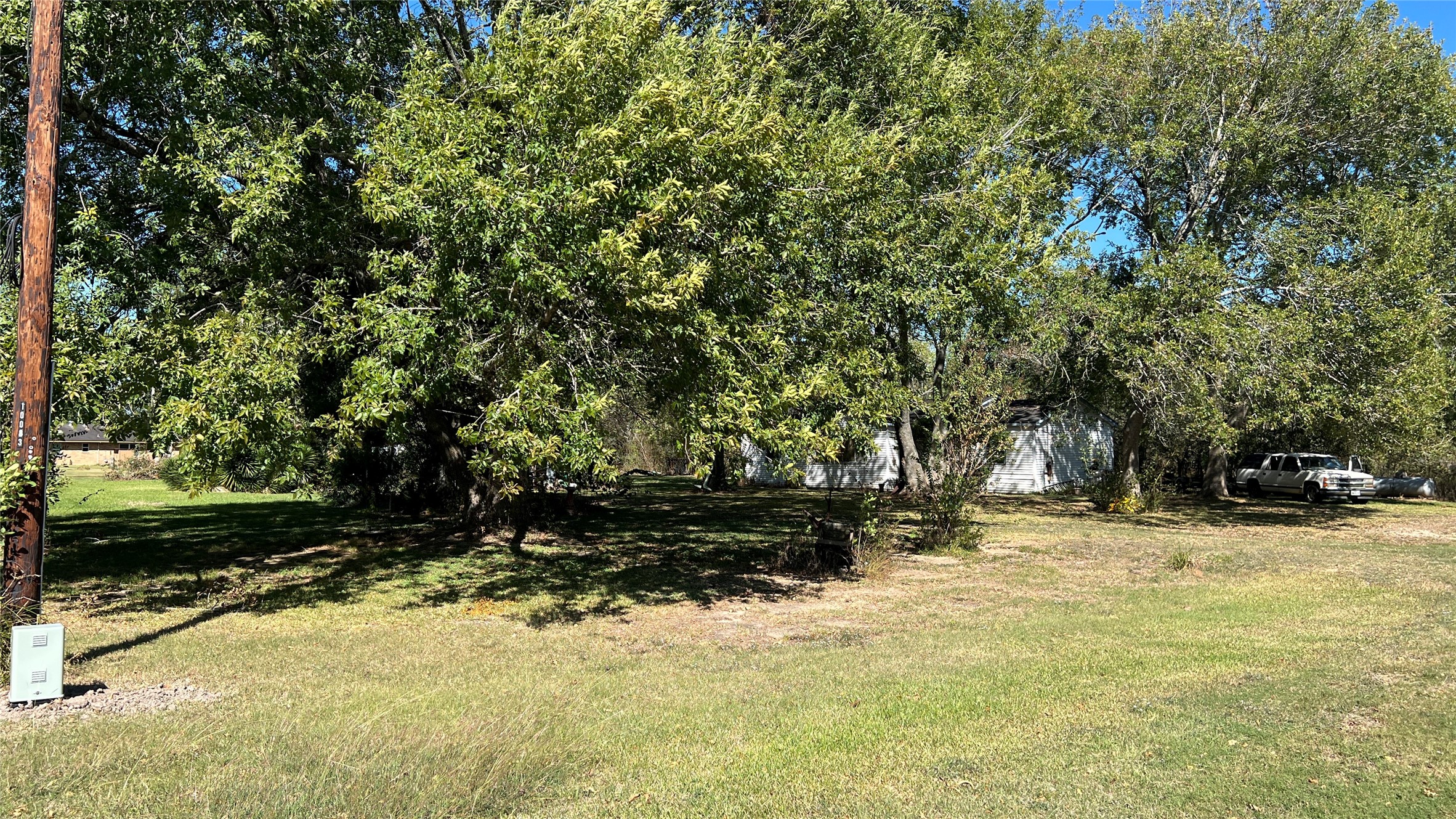 10111 Oberrender Road Fairchilds, TX 77461 - Photo 15 of 20 a view of yard with trees