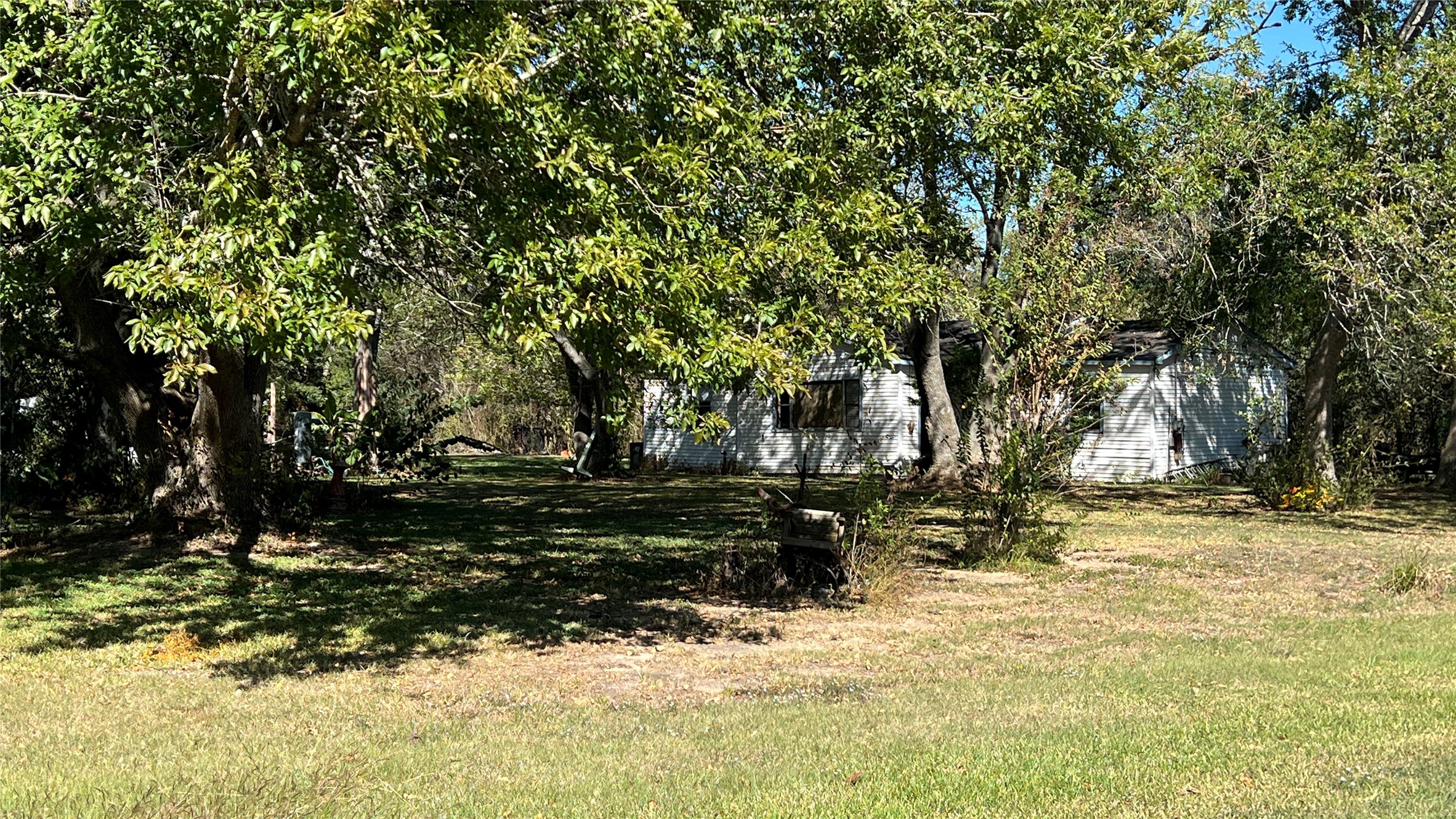 10111 Oberrender Road Fairchilds, TX 77461 - Photo 19 of 20 a view of yard with trees