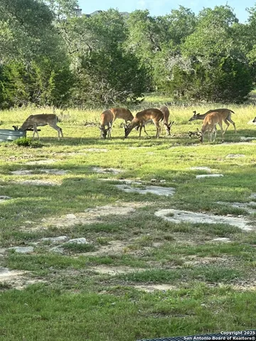 a view of a water pond with an outdoor space