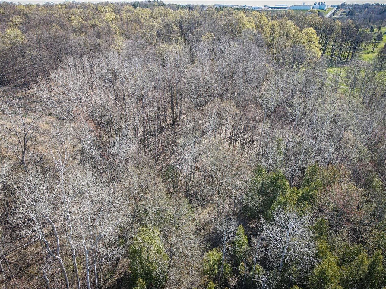 10 West Weaver Road Hesperia, MI 49421 - Photo 36 of 43