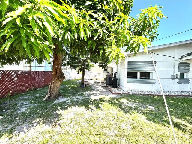 a view of a yard with plants and a large tree