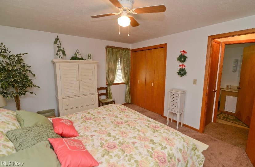 710 H Springfield Road, Unit H Columbiana, OH 44408 - Photo 19 of 29 Master Bedroom