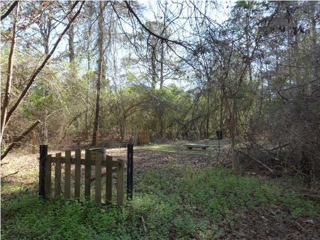 1446 Winton Road Mount Pleasant, SC 29464 - Photo 14 of 16 Additional Photo