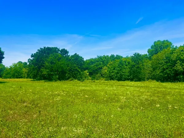 a view of a big yard with large trees